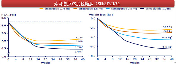 PRODUCT_SHOW (1)